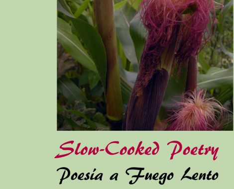 Cover_Slow-Cooked Poetry